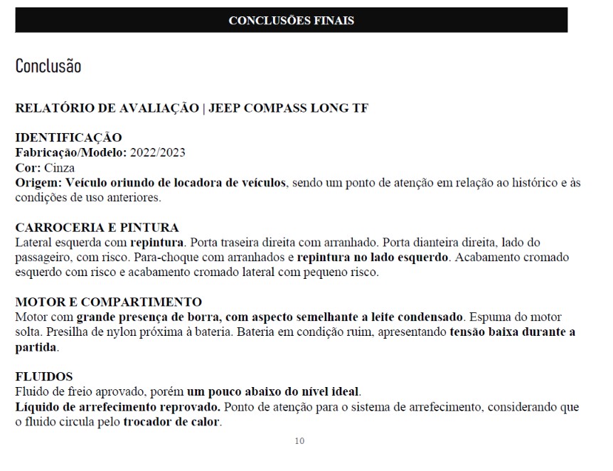 Página de conclusões finais do relatório da Ferres Car Hunter